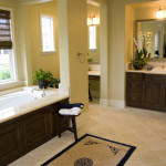 Bathroom Remodeling Ideas