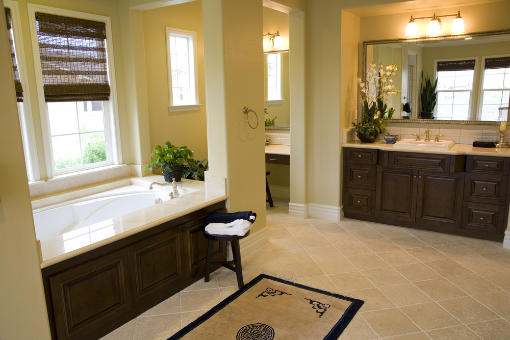 Bathroom Remodeling Ideas